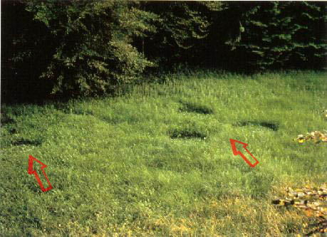http://www.tjresearch.info/cc6_76a.jpg
